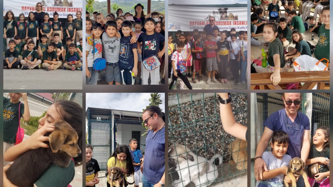 4.Sınıflarımız Adana Büyükşehir Belediyesi Söğütlü Hayvan Barınağı Gezisinde